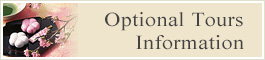 Optional Tours Information